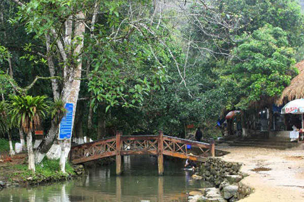 chiếc cầu bắc qua suối ngọc